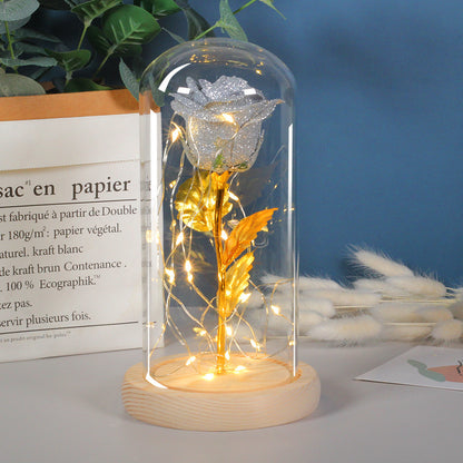 Gift  For Girlfriend Eternal Rose Flowers LED Light In Glass Cover